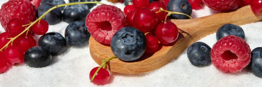 mattonella yogurt e frutti di bosco