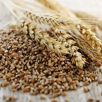 cereali