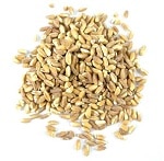 farro