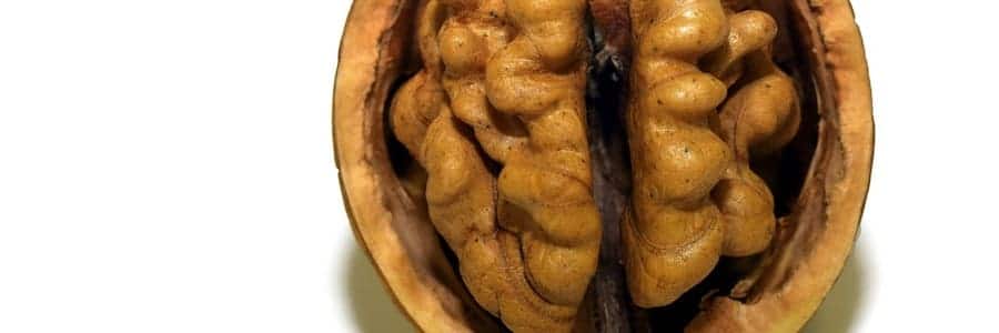 Cibo e psicologia