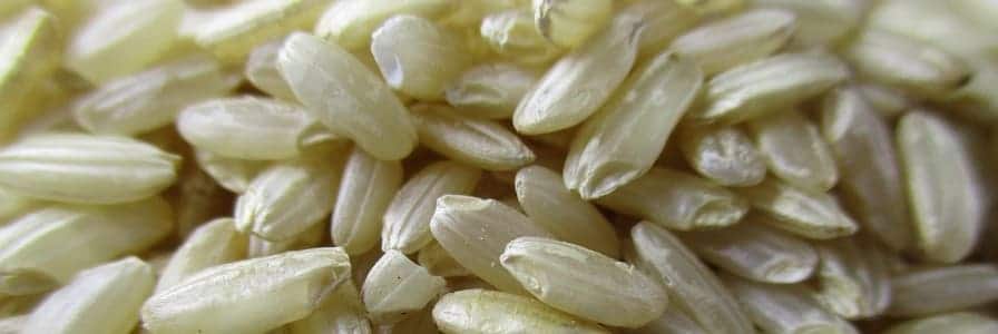 Risotto di primavera
