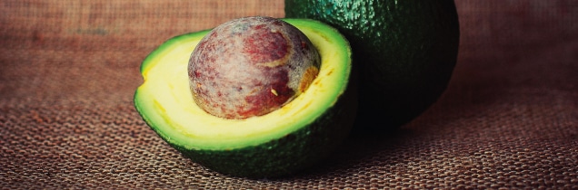ricetta con avocado