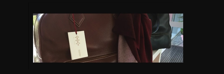 vitale barberis canonico