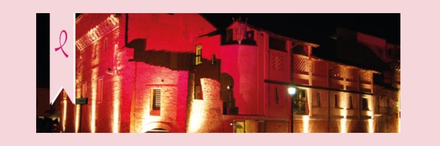 monumenti biellesi in rosa