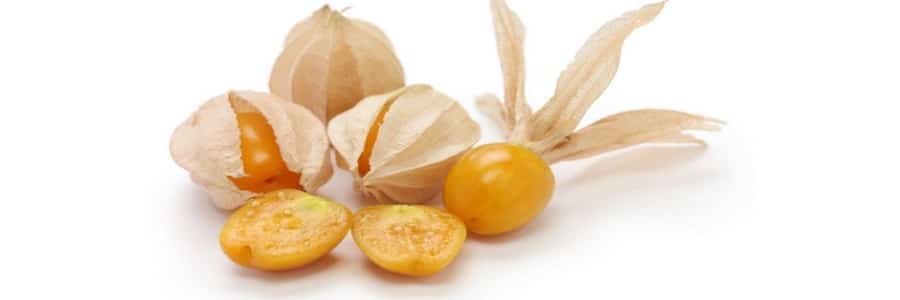 Alchechengi benefici e proprietà