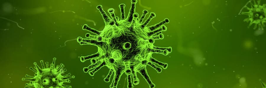 Importanza dell'attività della Flora Microbica