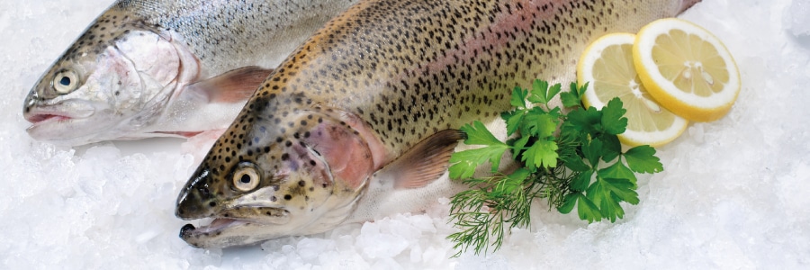 Trota salmonata - Ricette LILT Biella
