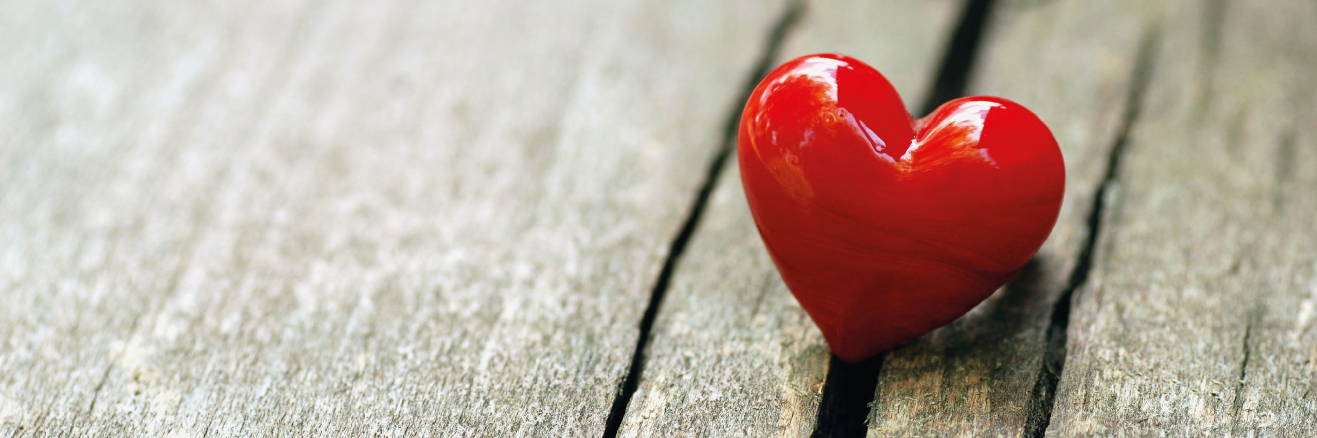 Amore - Hospice di Biella - LILT Biella