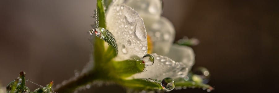 Le emozioni dei volontari LILT Biella in Hospice